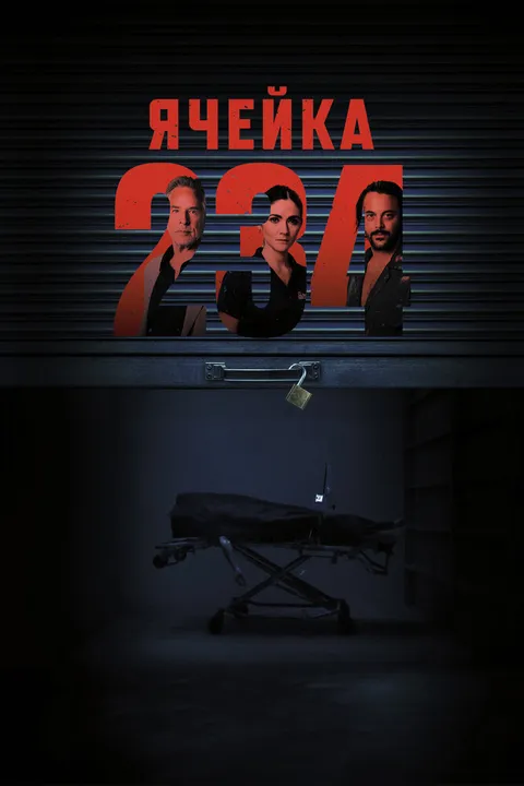 Ячейка 234 (2023)