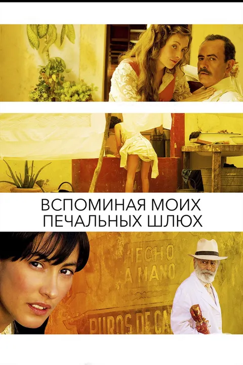 Вспоминая моих печальных шлюх (2011)