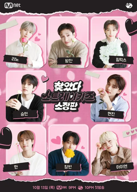 В поисках Stray Kids (2022)